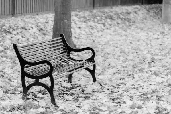 Empty bench grief and loss