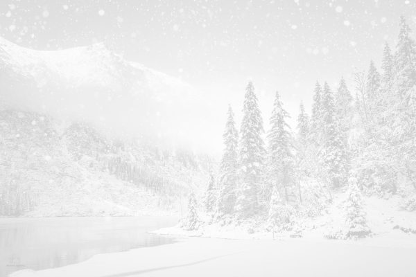 Support with the mixed emotions of christmas